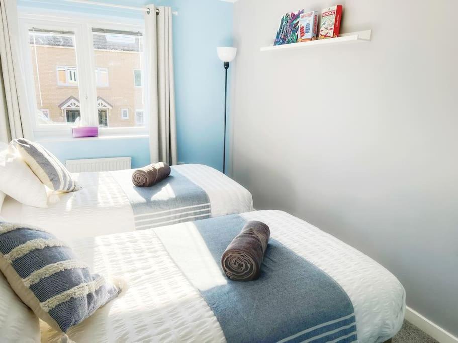 泰恩河畔纽卡斯尔Comfy Modern 3Br Semi Detached 400Mb Wifi Free Double Parking别墅 外观 照片